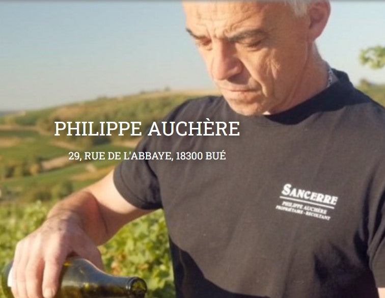 Dom Philippe Auchere 2023 Sancerre