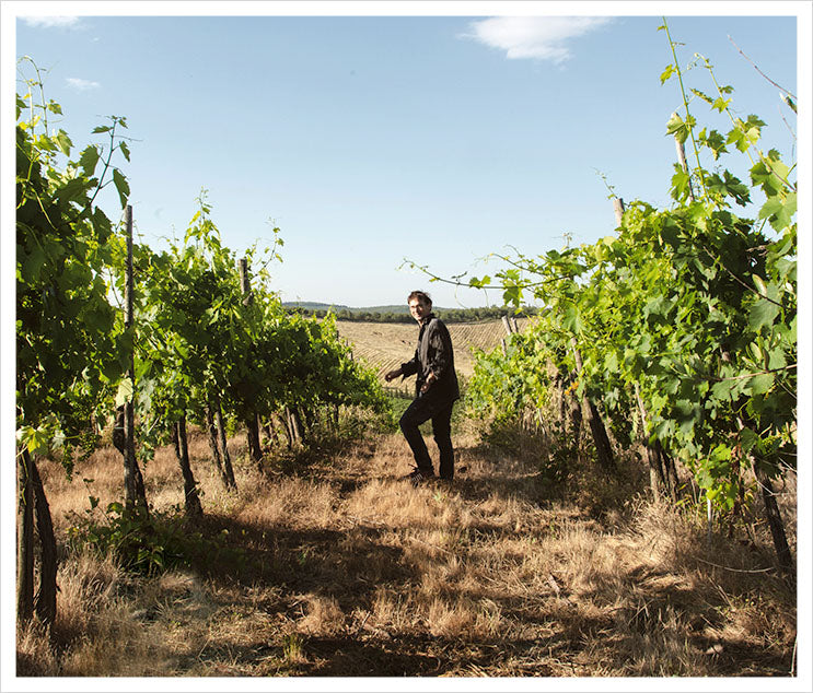 Tenuta di Carleone 2020 'Uno' Toscana Red Blend