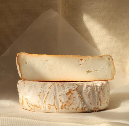 Andante Dairy Contralto, washed rind goats milk