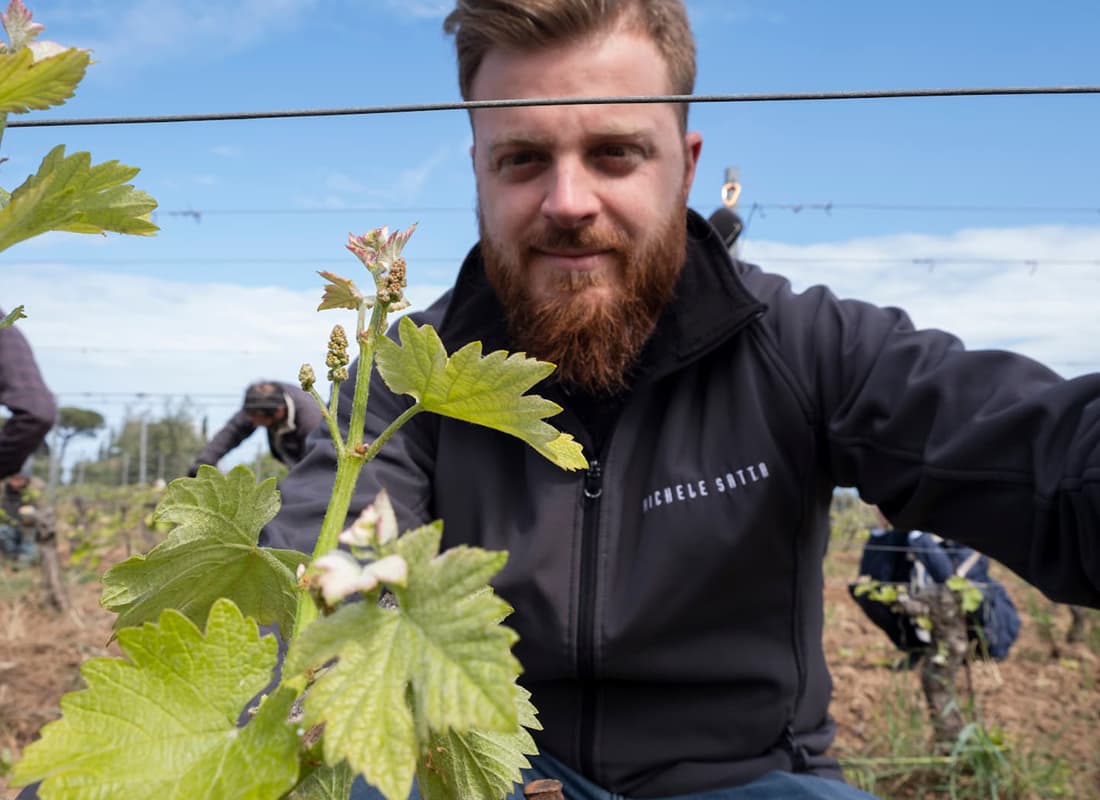 Michele Satta 2022 Costa di Giulia, Bolgheri Bianco