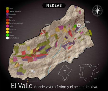 Bodegas Nekeas 2021 'El Chaparral' Garnacha