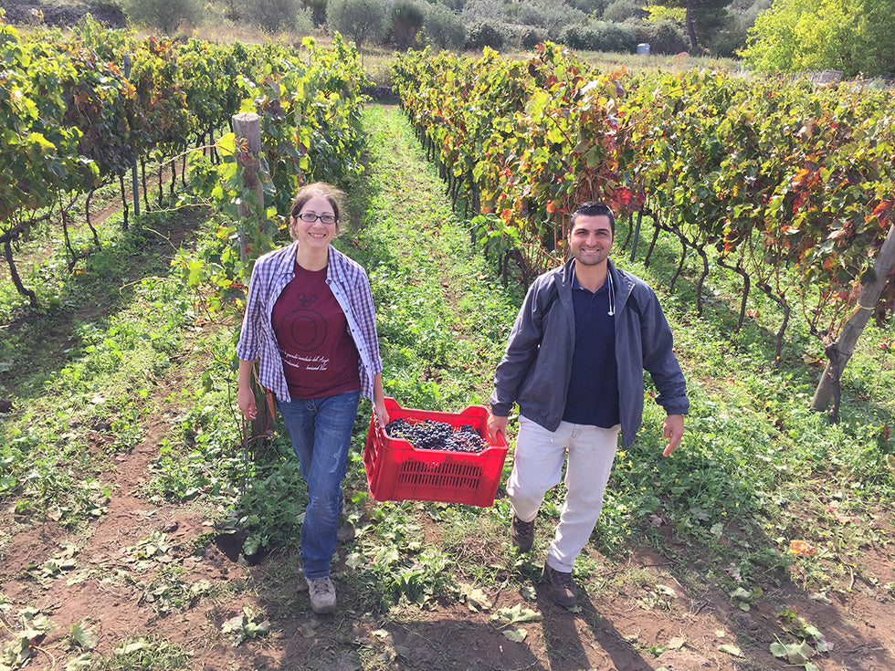 Famiglia Statella 2022 Etna Rosato