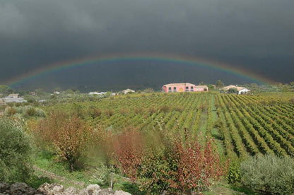 Terre Nere 2022 Etna Rosso